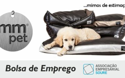 Emprego – Operador de Produção/Armazém (m/f) – Soure